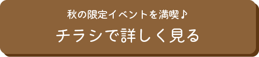 チラシで詳しく見る