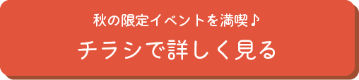 チラシで詳しく見る