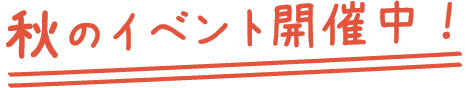 秋のイベント開催中！