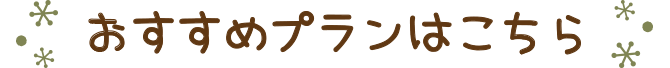 おすすめプランはこちら