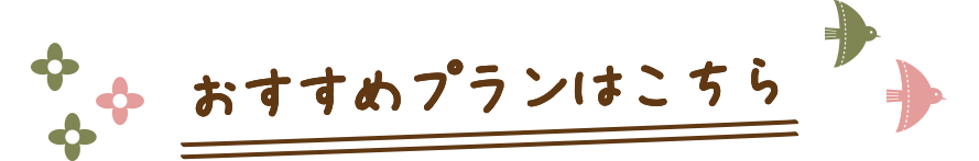 おすすめプランはこちら